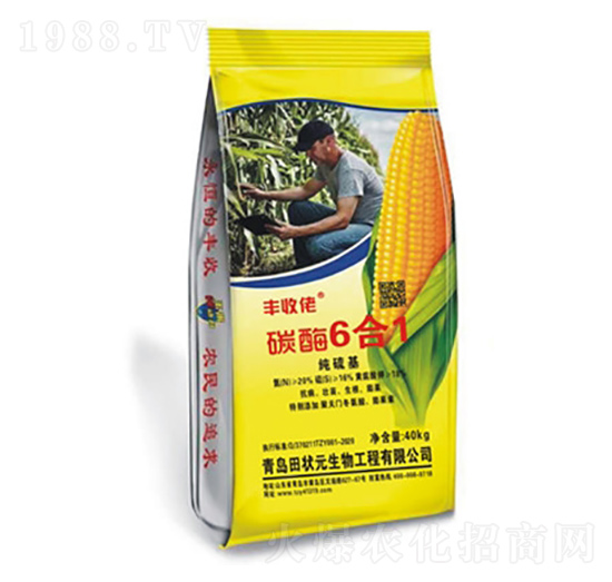 ���׌�(zhu��n)��-̼ø6��1-�S����-���Ԫ����