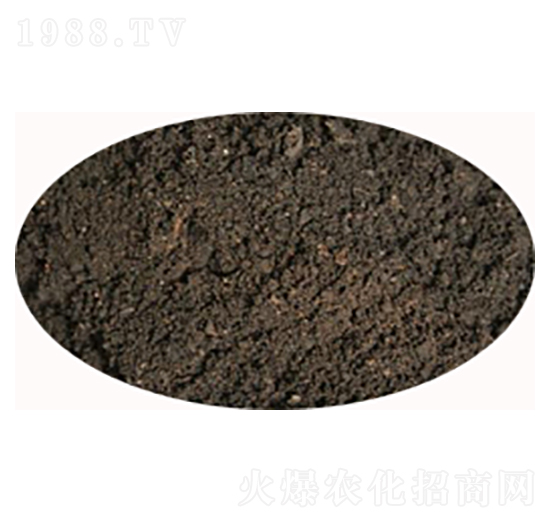 �l(f��)���u�S�ʏS��-���S����