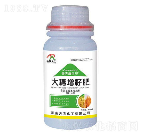 �������ѷ�-���r����(y��u)ؐ-���r����