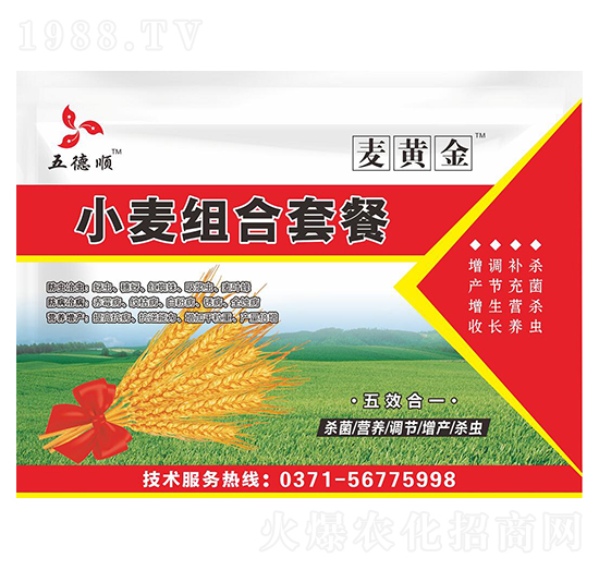 С���M���ײ�-���S��-����