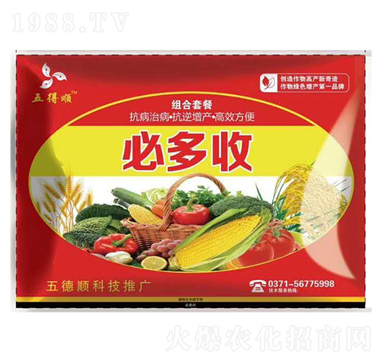 �ض��սM���ײ�-����-����