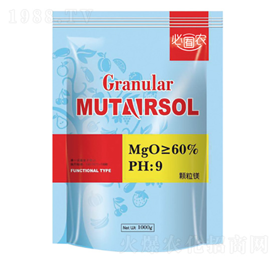 �w���V-��֮���r�I(y��)