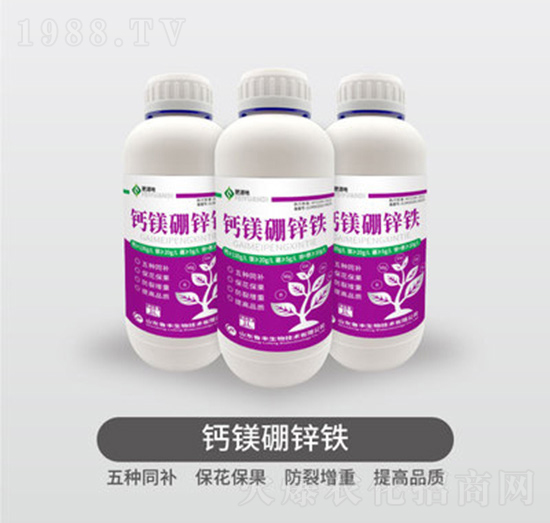 �}�V���\�F-���S��Դ��