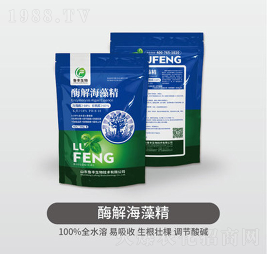 ø�⺣�徫-���S��Դ��