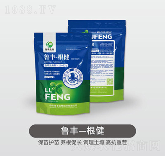 ���S����-���S��Դ��