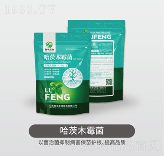 1000g����ľù��-���S��Դ��