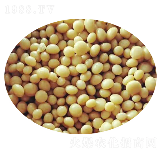 全水溶肥料顆粒-瀘天化-農(nóng)之友