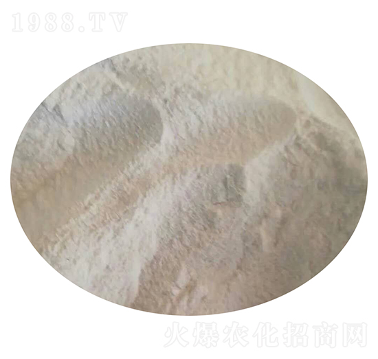 ���Ϸ�ĩ-�r(n��ng)֮��