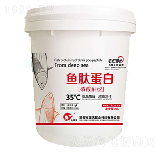 �~(y��)�ĵ���-���|�ʘI(y��)