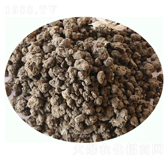 �l(f��)���u�S��-���|�ʘI(y��)