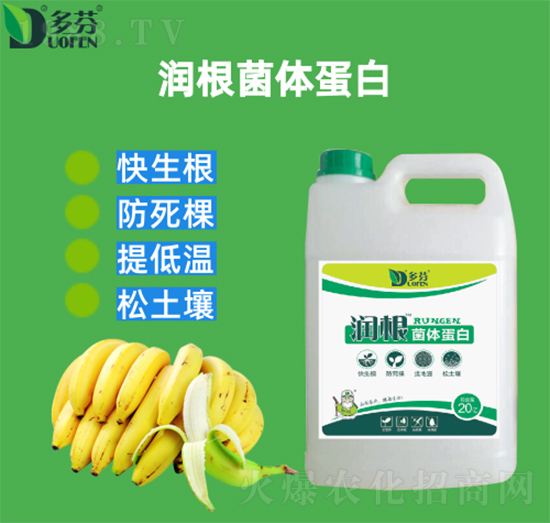 �������w����-����r�I(y��)