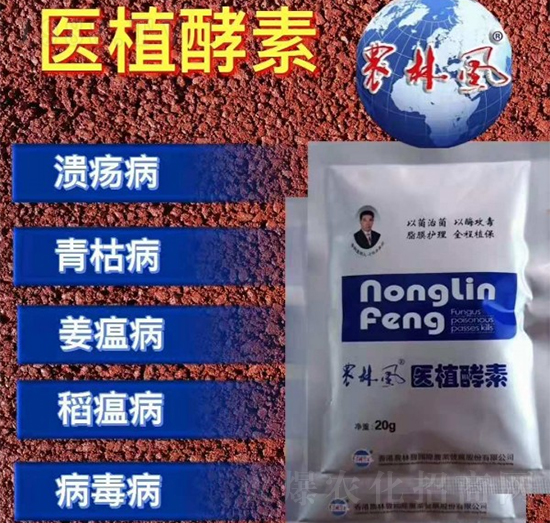 �t(y��)ֲ����-�r(n��ng)���L(f��ng)-��S��