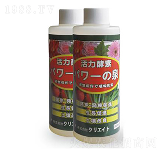 ��������-����֮Ȫ-�����A��