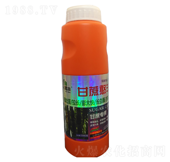 ���ጣ�ø��ẩ�S-�S��Դ