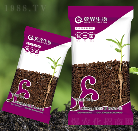 ��(y��u)����-Ǭ������