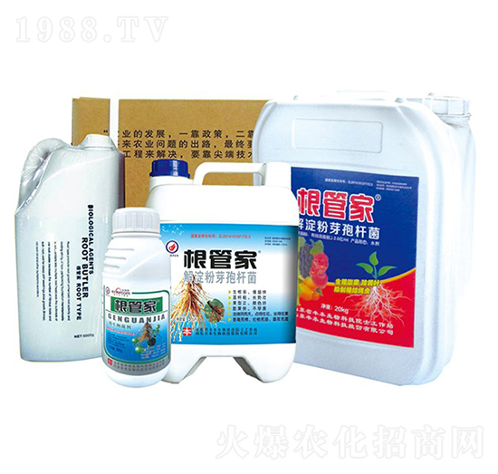 �����ѿ�ߗU��-���ܼ�-�S������