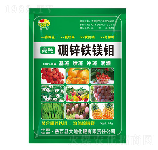 4kg���\�F�V�f-���-��ػ���