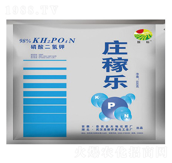 500g�f�Ҙ���������-���-��ػ���