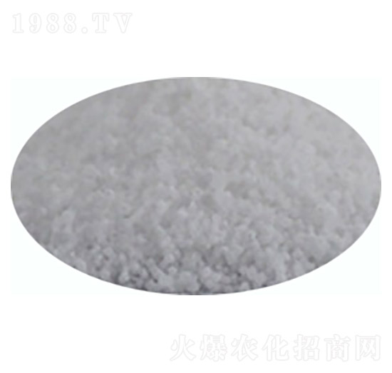 ��ˮ��ɰ-����