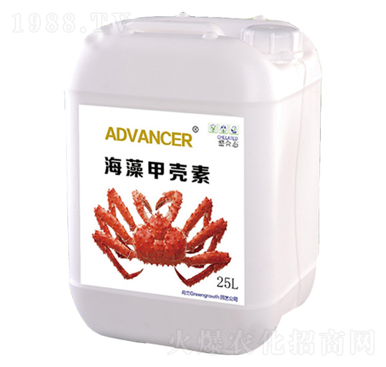 ����ך���-��֮��