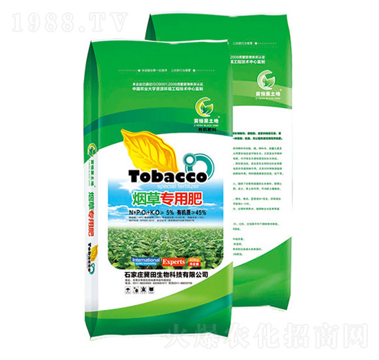 ���݌��÷�-��������