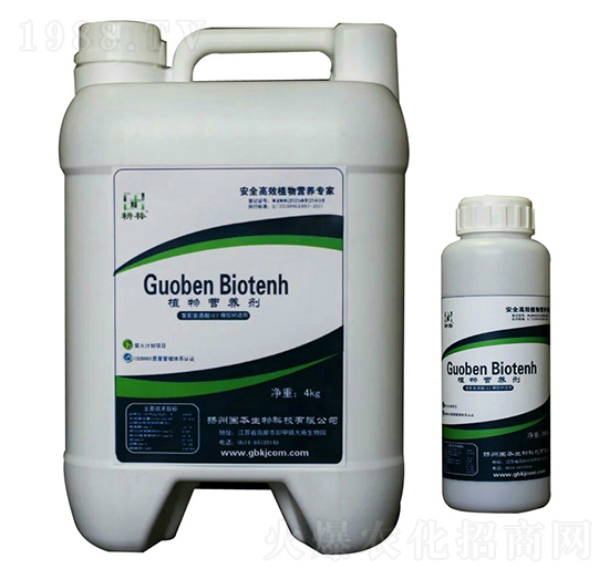 ���z��-ֲ��I�B(y��ng)��-��������