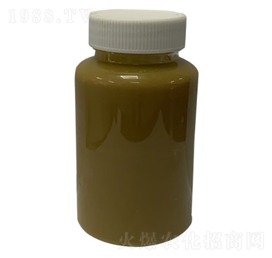 ���Y(ji��)�K���̈́�-�S������