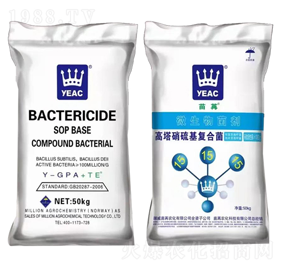 ΢�������-����