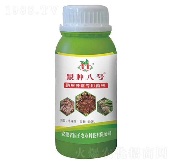 ���[��̖(h��o)-��(gu��)������