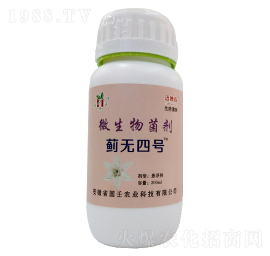 ΢�������-�E�o��̖-��������