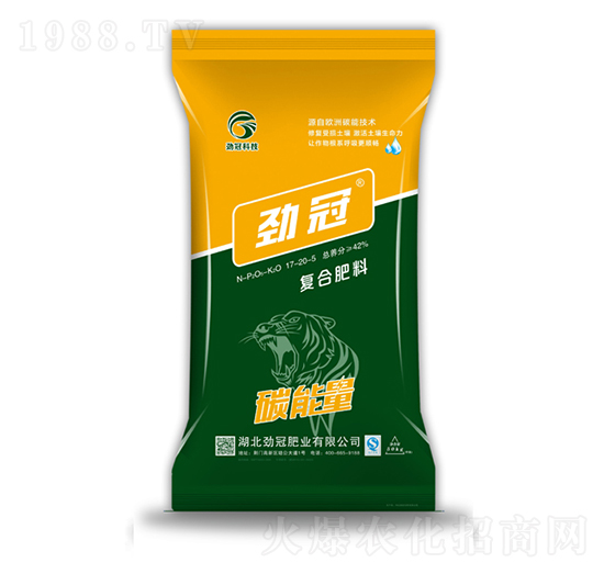 ��(f��)�Ϸ���17-20-5-̼����-�Ź�