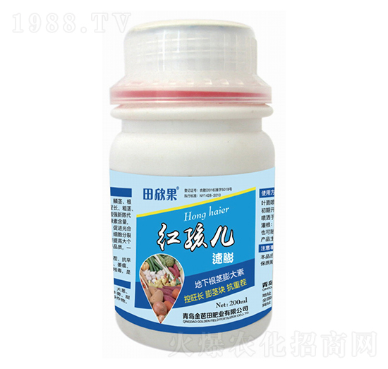 ���¸��o�����-�t����-�����