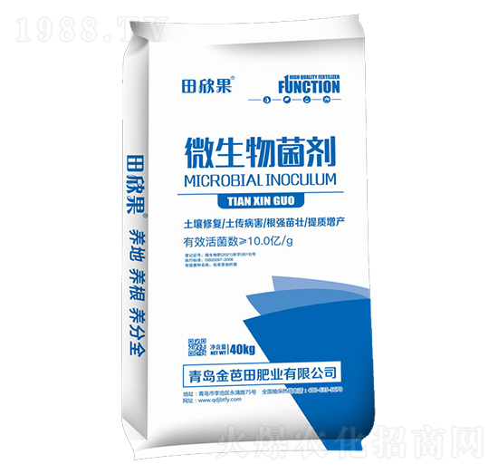 40kg΢�������-������-�����