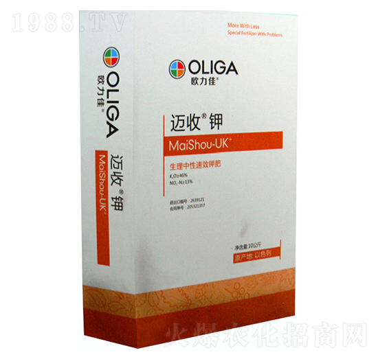 ��������⛷�-�~���-�W����