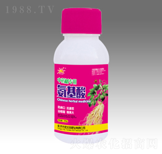 ��ˎ�Č��ð�����-�������