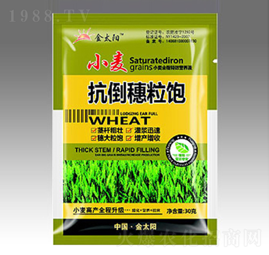 С�����������-�������