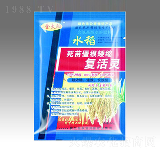 ���罩�����s��(f��)���`-�������