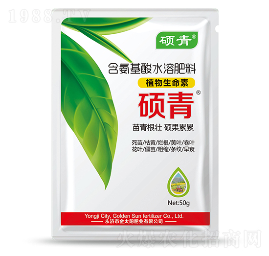 ֲ��������-�T��-�������