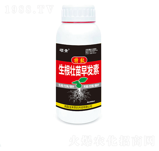 ����������l(f��)�أ�ƿ��-�T��-�������