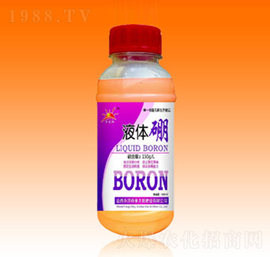 Һ�w��-�������