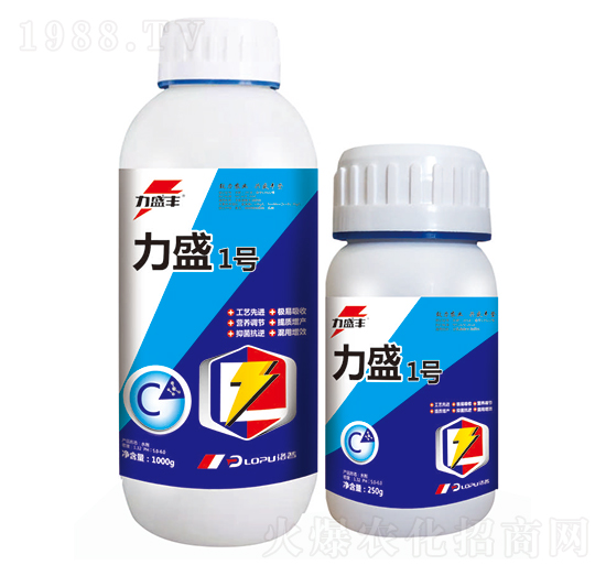 ��ʢ1̖-����