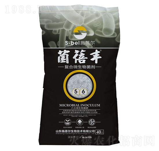 ��(f��)��΢�������-�����S-ʩ����