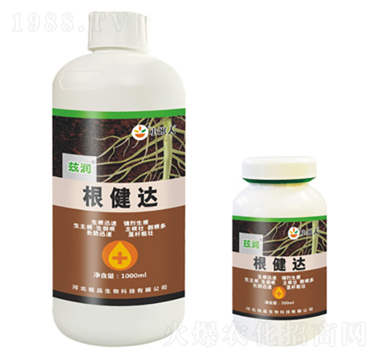 �����_-Ɲ��-�Ʒ����