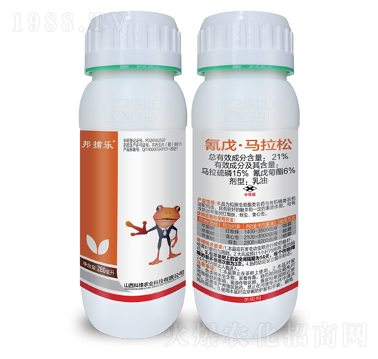 21%���졤�R����-���-���h�r�I(y��)