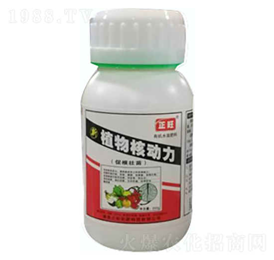 ֲ��˄�(d��ng)��-�����r(n��ng)��