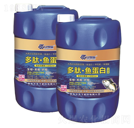 �����~(y��)����-�|�p�A-������