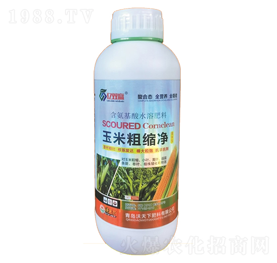 ���״ֿs��-�|�p�A-������