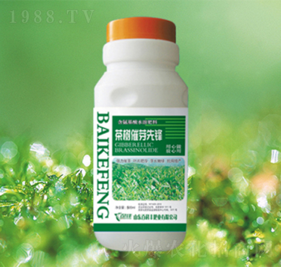 ���(sh��)��ѿ���h-�ٿ��S