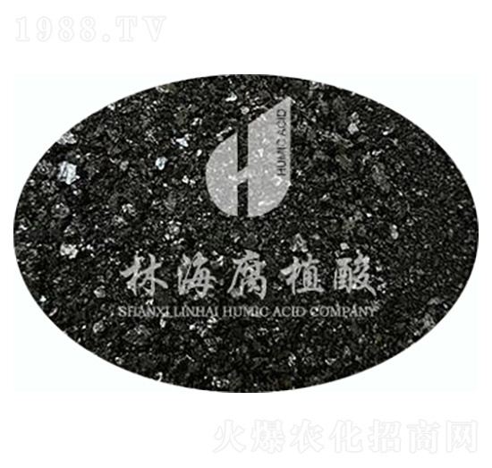 �S�����-�ֺ���ֲ��