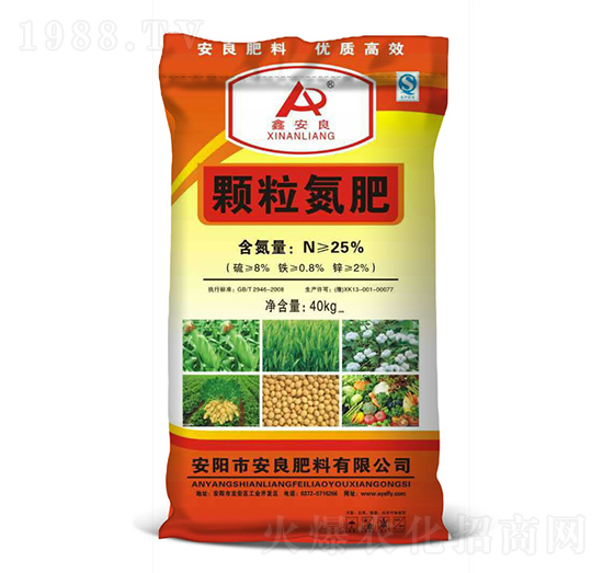 25%�w������-�ΰ���